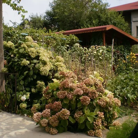 песента на морето Guest house 3*