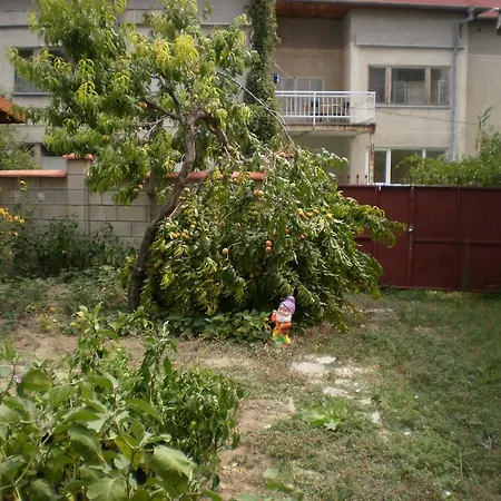 песента на морето Guest house 3*