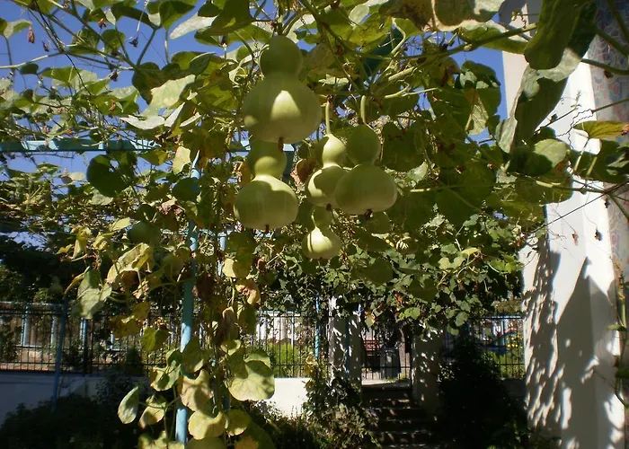 Guest house песента на морето Obzor